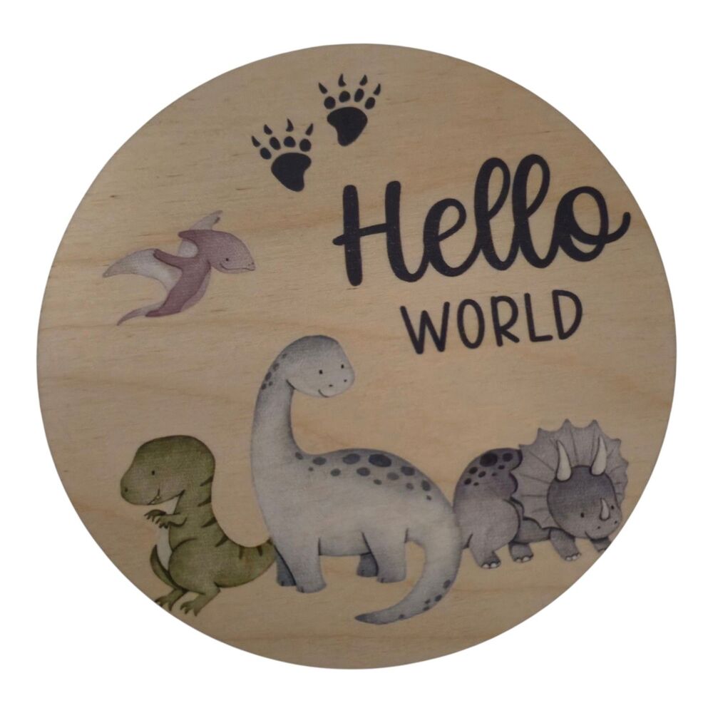 Baby Milestones Photo Props Dinosaurs 11 Wood Circles Double Sided Holidays
